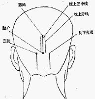 風是穴|醫砭 » 中華針灸 » 風市